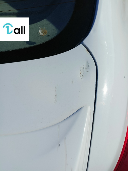 Car Detail Image