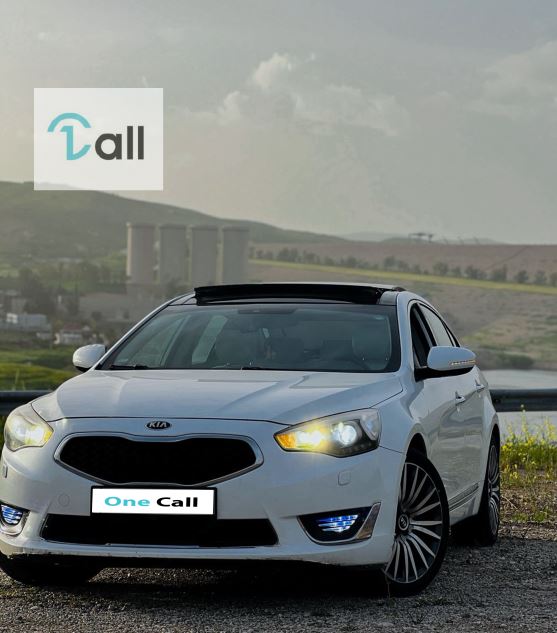 کیا کادێنزا 2014